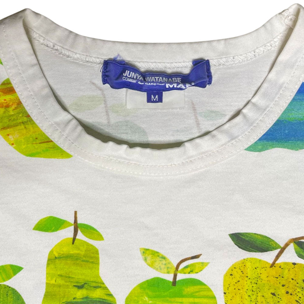 Junya Watanabe Man, circa S/S 2019 short sleeve crew neck tee with green, blue, yellow apples and pears printed all over.